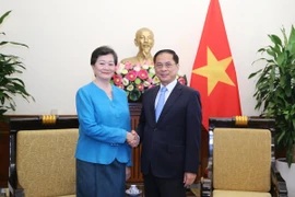 Le vice-Premier ministre Bui Thanh Son reçoit l'ambassadrice du Cambodge au Vietnam. Photo: VNA