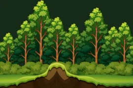 En 2025, le Vietnam comptait plus de 14,97 millions d'hectares de forêts