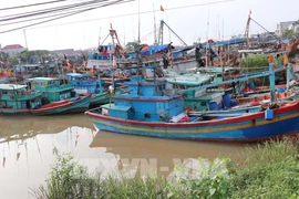 Ho Chi Minh-Ville intensifie la clôture des dossiers de violations liées à la pêche illicite (INN). Photo: VNA