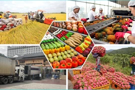 L’expansion vers les marchés émergents permettrait de réduire la dépendance du Vietnam vis-à-vis de ses partenaires traditionnels comme la Chine et les États-Unis. Photo: Internet