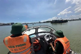 Da Nang renforce sa lutte contre la pêche INN