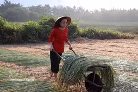 Tay Ninh : Préserver le rythme de l'artisanat traditionnel de l'estuaire de Nhut Tao