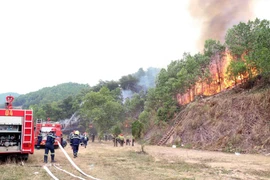 Exercice national de prévention et d'extinction des incendies de forêt le 6 décembre 2024 dans la ville de Thai Nguyen. Photo : VNA