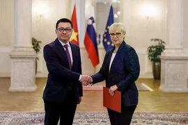 Le nouvel ambassadeur du Vietnam en Slovénie, Vu Le Thai Hoang et la présidente slovène Natasa Pirc Musar. Photo: VNA