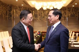 Le vice-Premier ministre et ministre des Affaires étrangères Bui Thanh Son (droite) et le secrétaire général de l'ASEAN Kao Kim Hourn. Photo : VNA