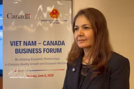Vina Nadjibulla, ancienne vice-présidente chargée de la recherche et de la stratégie à la Fondation Asie-Pacifique du Canada. Photo: VNA