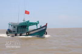 Ca Mau intensifie la lutte contre la pêche INN en vue de la levée du "carton jaune" de la Commission européenne. Photo: VNA