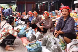 L'effervescence du marché périodique de Phuong Do : l'âme rurale de Tuyen Quang