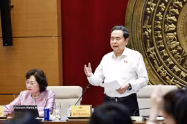Le président de l’Assemblée nationale (AN), Tran Thanh Man, a demandé à la Commission des affaires économiques et financières de l’AN de renforcer son rôle de conseil et de proposition. Photo: VNA