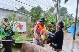 Le Comité central de la Croix-Rouge vietnamienne lance une opération de secours d’urgence pour venir en aide aux populations touchées par les inondations qui ont dévasté six provinces du Centre. Photo: VNA
