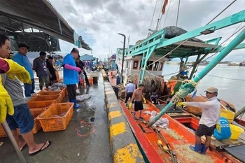 La province de Cà Mau intensifie ses efforts contre la pêche INN. Photo: VNA