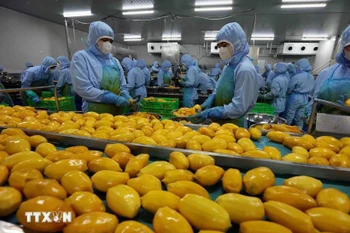 Un établissement de la société B'LaoFood à Lam Dong. Photo: VNA