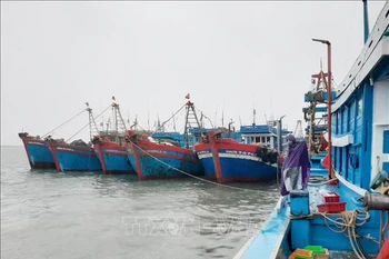 Des navires de pêche ancrés au port de Cua Hoi, province de Nghe An. Photo: VNA