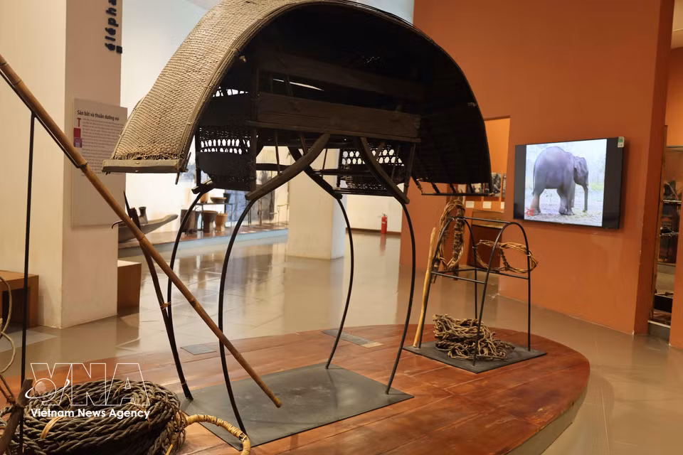 Maquette d'une selle d'éléphant et équipements utilisés par les Ê Đê pour la chasse aux éléphants. Photo : VNA