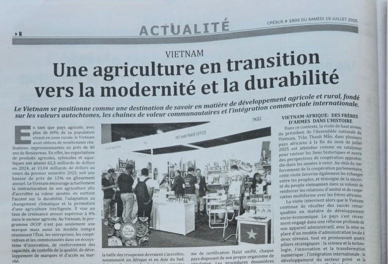 L'article est publié sur le quotidien algérien Cresus. 