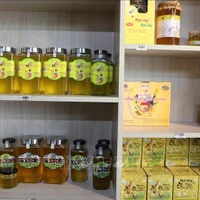 Le miel de menthe est un produit clé du plateau rocheux de Dong Van (Ha Giang). Photo : VNA