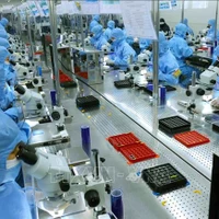 Ligne de production de modules de caméra et de composants électroniques destinés à l'exportation dans l'usine MCNEX VINA Co., Ltd., société à participation sud-coréenne, située dans le parc industriel de Phuc Son, province de Ninh Binh. Photo : VNA