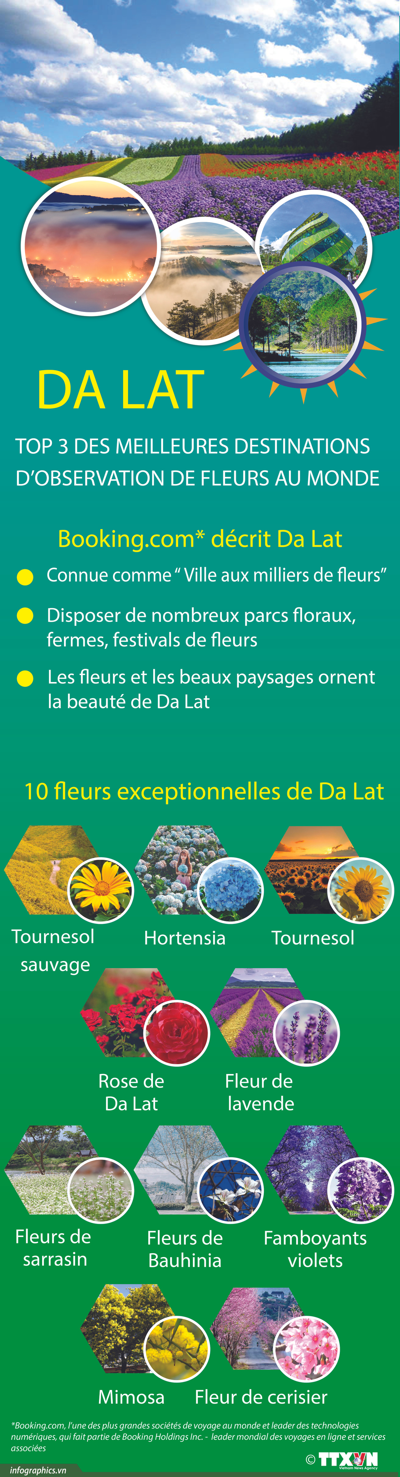 Da Lat, top 3 des meilleures destinations d'observation de fleurs au monde ảnh 1 Da Lat, top 3 des meilleures destinations d'observation de fleurs au monde ảnh 1