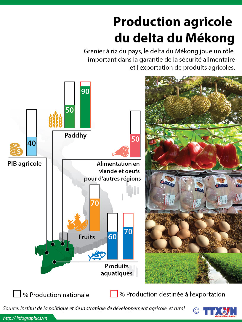 Delta du Mékong, grenier à riz du Vietnam ảnh 1 Delta du Mékong, grenier à riz du Vietnam ảnh 1