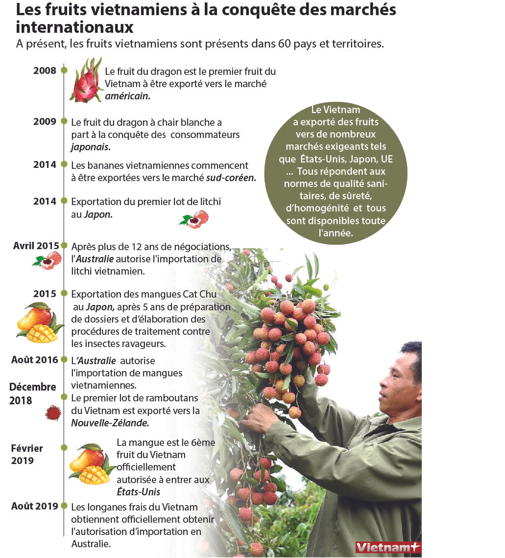 Les fruits vietnamiens à la conquête des marchés internationaux ảnh 1 Les fruits vietnamiens à la conquête des marchés internationaux ảnh 1