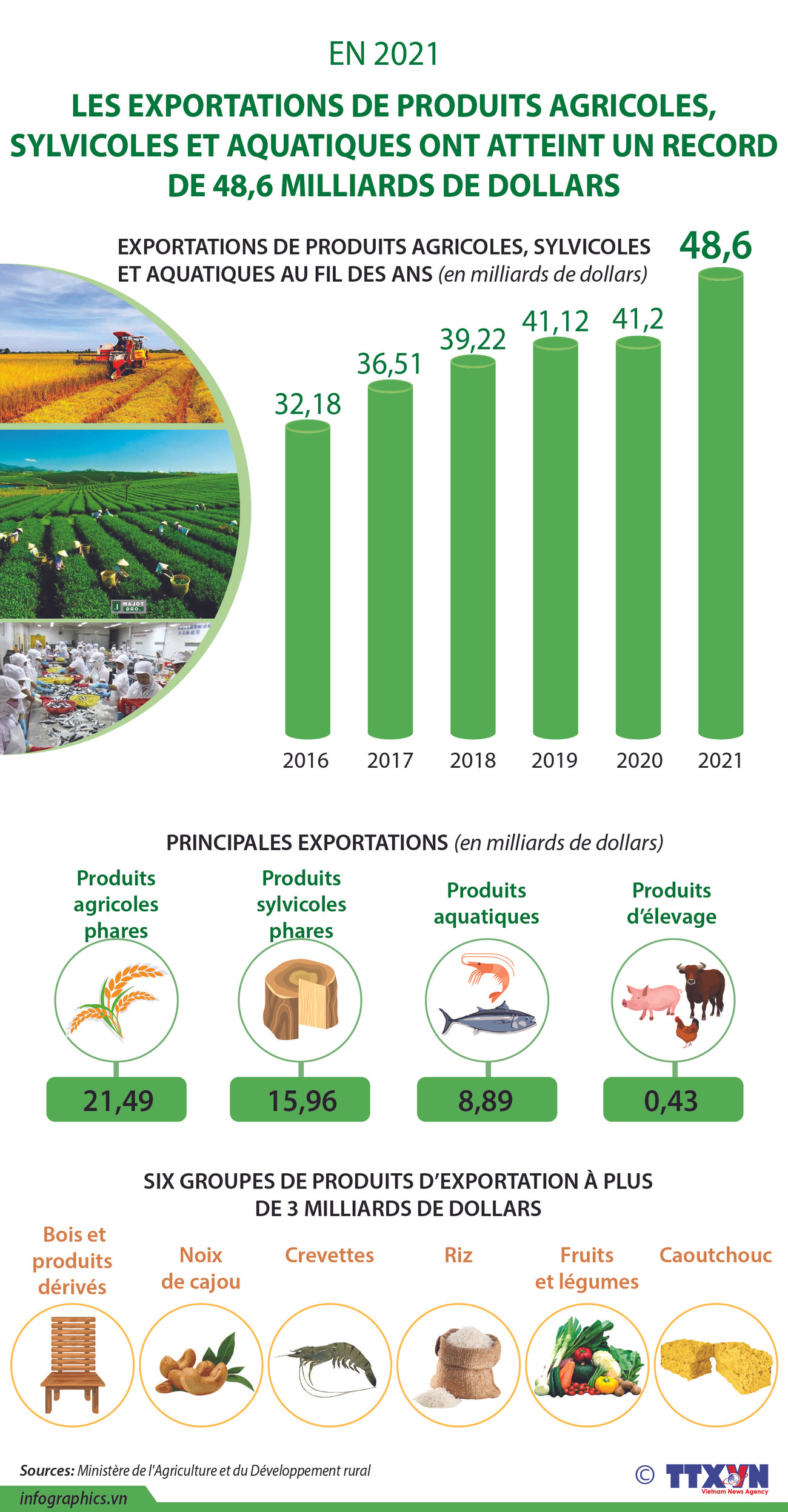 Les exportations de produits agricoles, sylvicoles et aquatiques ont atteint un record en 2021 ảnh 1