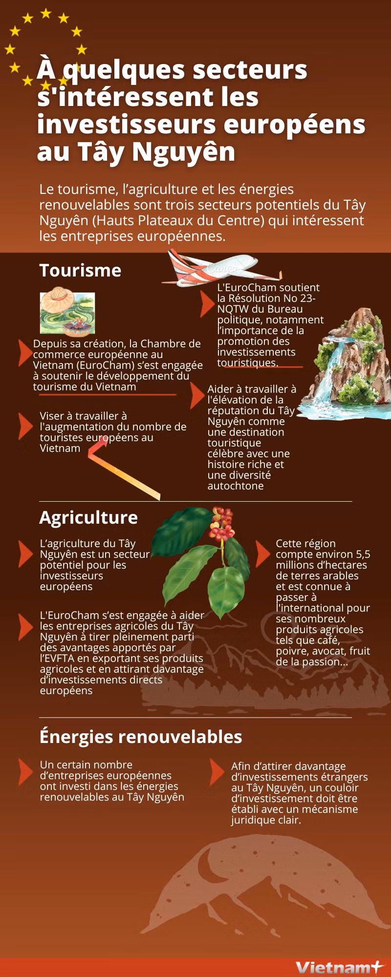 A quelques secteurs s'intéressent les investisseurs européens au Tây Nguyên ảnh 1