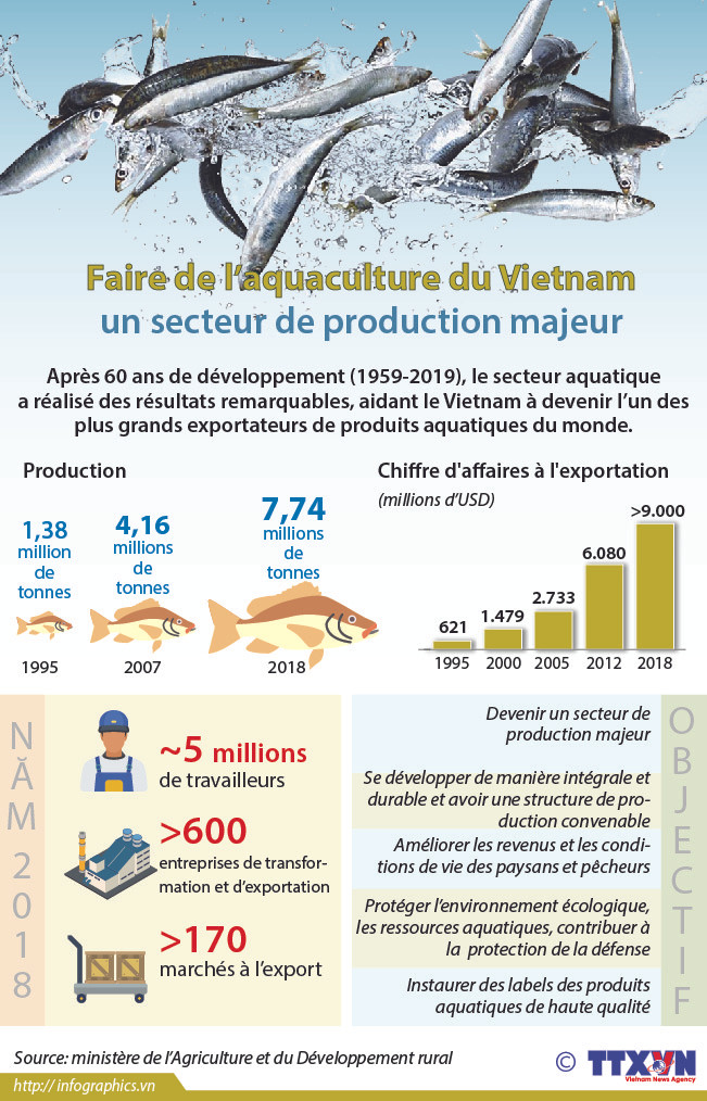 Faire de l’aquaculture du Vietnam un secteur de production majeur ảnh 1