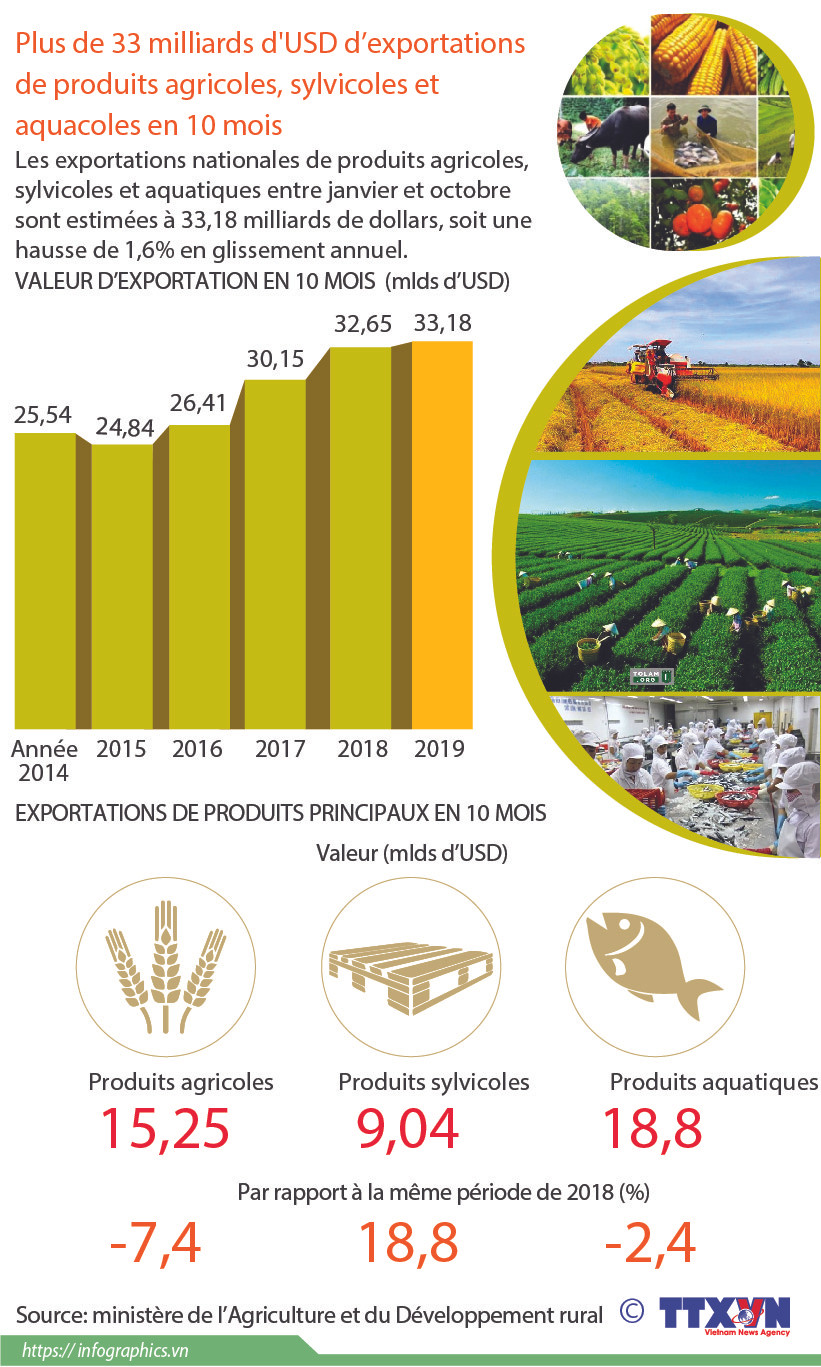 Plus de 33 milliards d'USD d’exportations de produits agricoles, sylvicoles et aquacoles en 10 mois ảnh 1 Plus de 33 milliards d'USD d’exportations de produits agricoles, sylvicoles et aquacoles en 10 mois ảnh 1