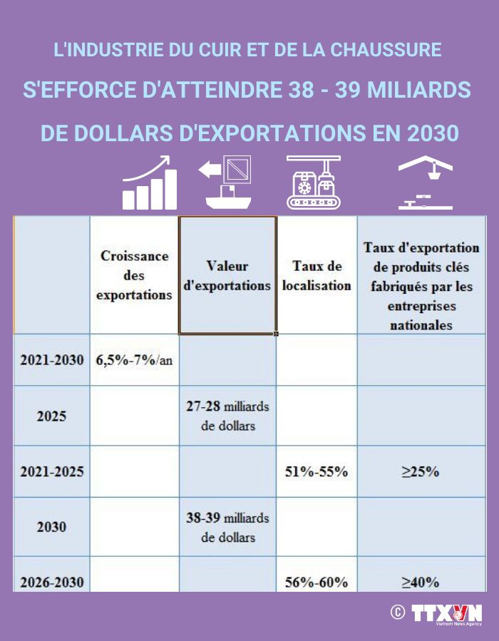 L'industrie du cuir s'efforce d'atteindre 38-39 milliards d'USD d'exportations en 2030 ảnh 1