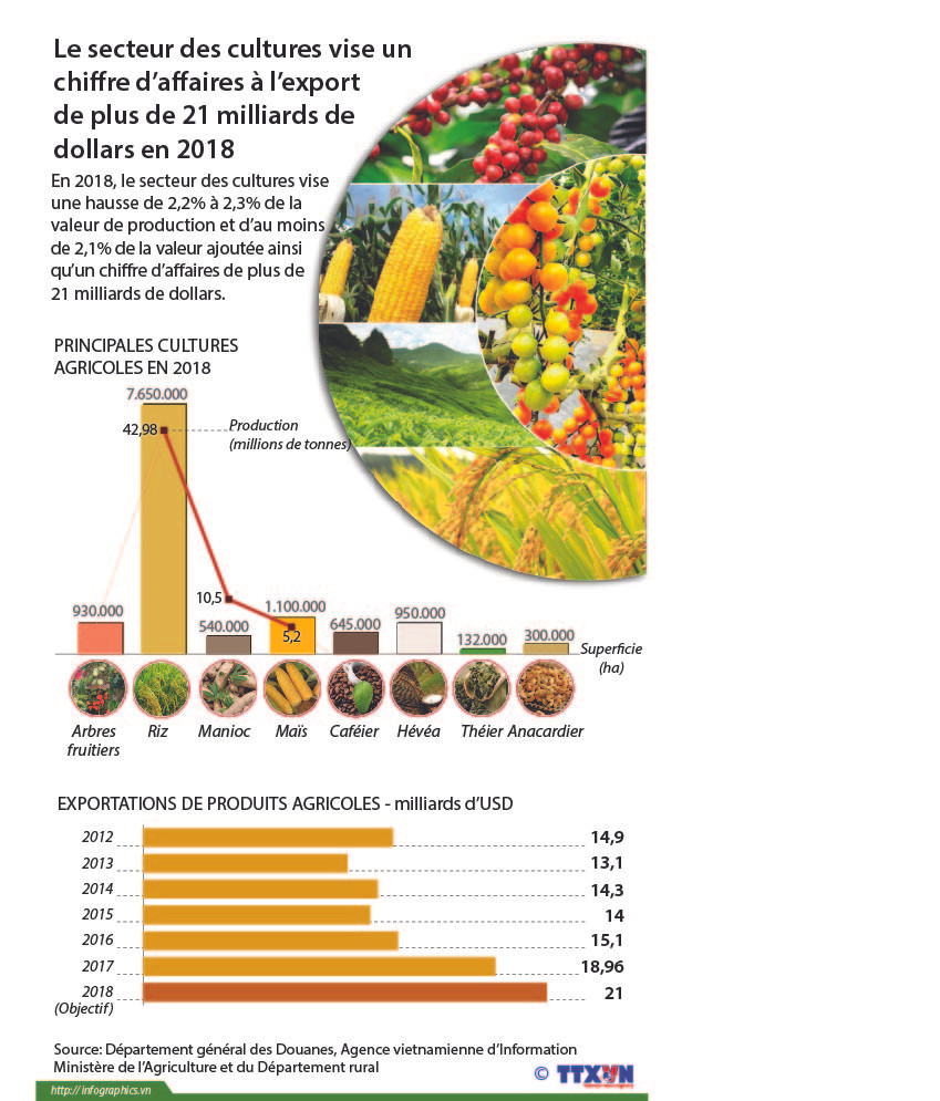 Le secteur des cultures vise un chiffre d'affaires à l'export de plus de 21 millions d'USD en 2018 ảnh 1 Le secteur des cultures vise un chiffre d'affaires à l'export de plus de 21 millions d'USD en 2018 ảnh 1