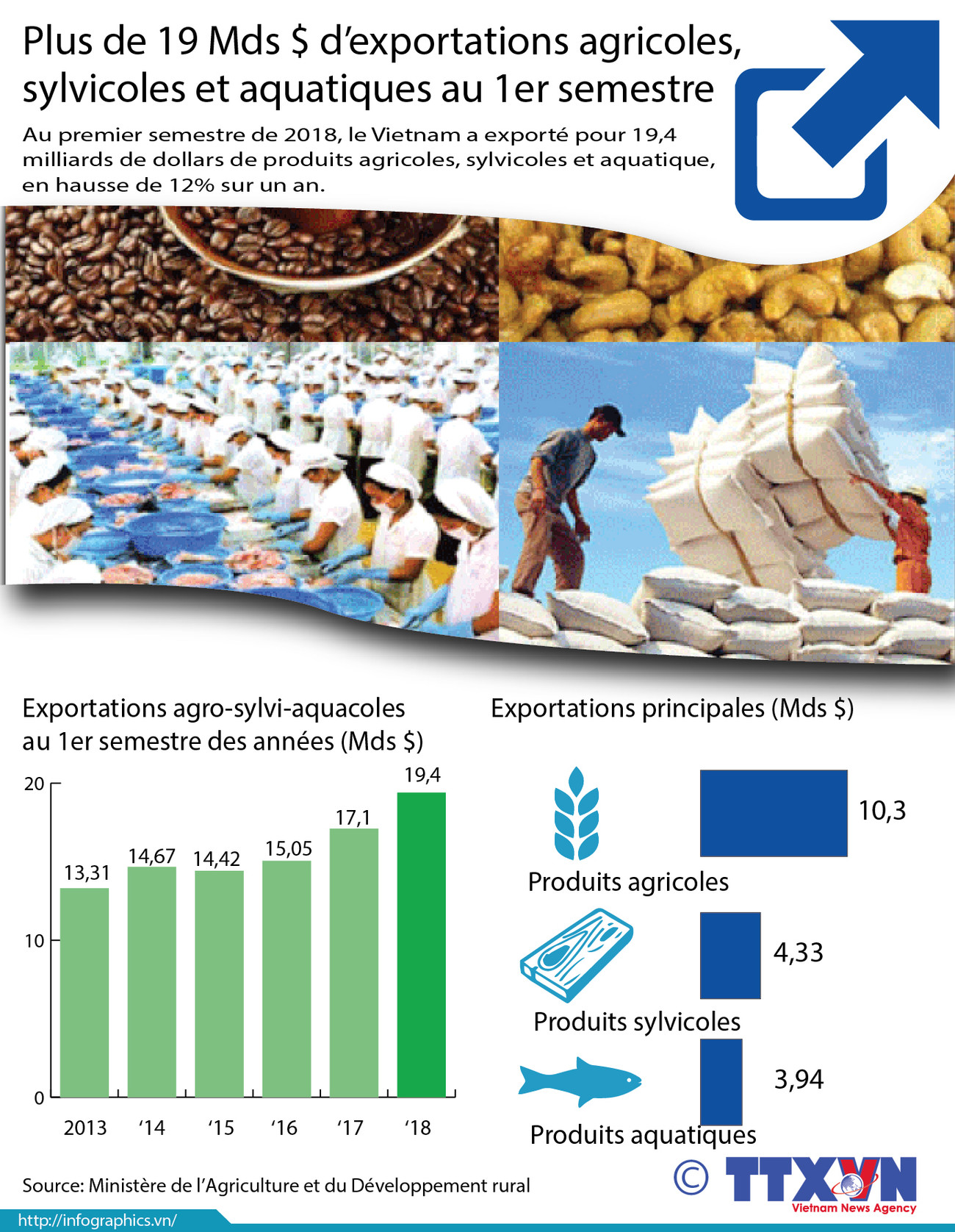 Plus de 19 Mds $ d’exportations agricoles, sylvicoles et aquatiques au 1er semestre ảnh 1