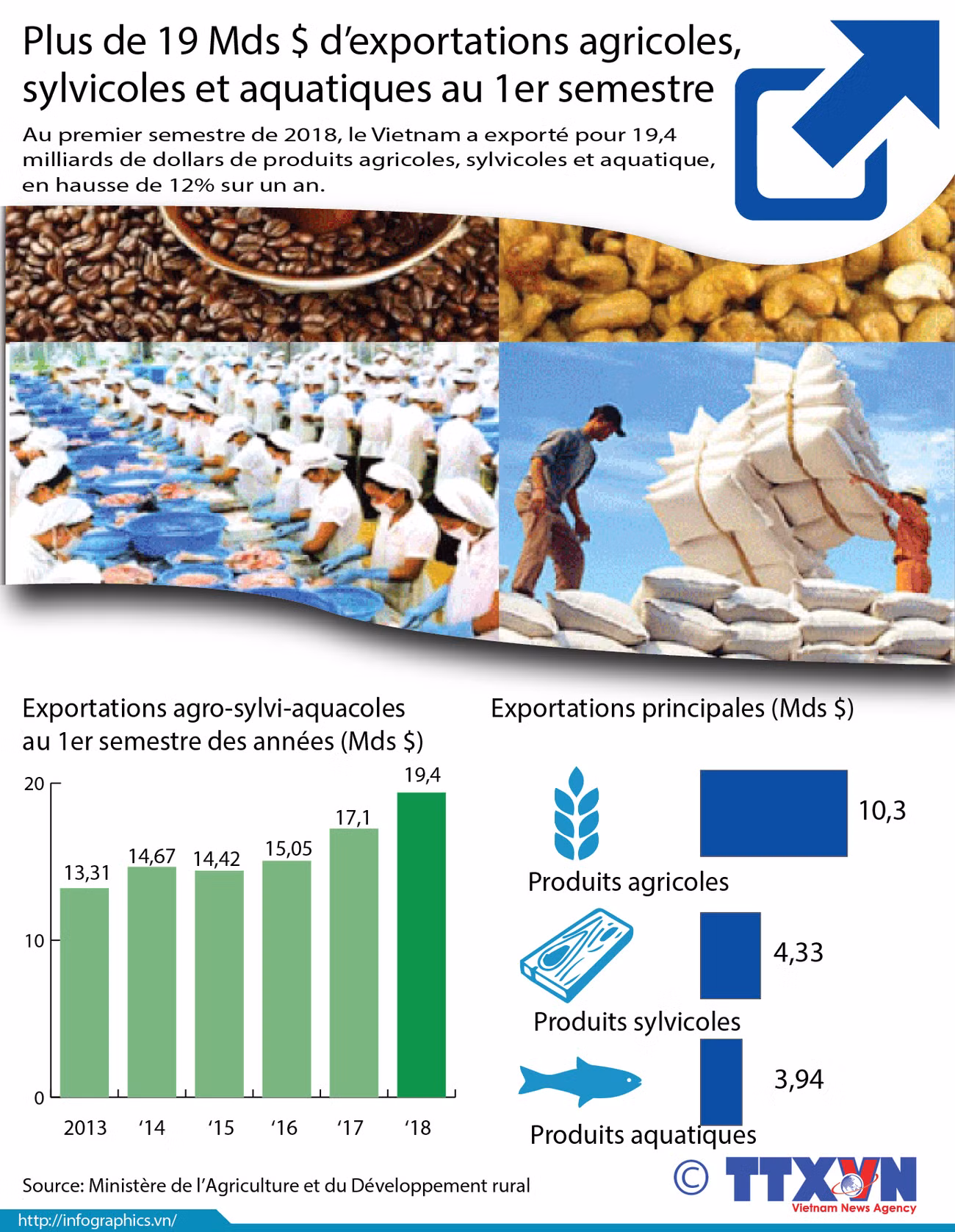 Plus de 19 Mds $ d’exportations agricoles, sylvicoles et aquatiques au 1er semestre ảnh 1