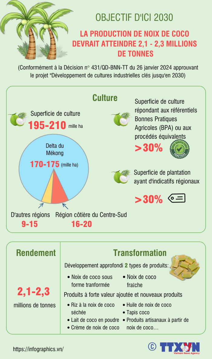 La production de noix de coco devrait atteindre 2,1 à 2,3 millions de tonnes d'ici 2030 ảnh 1 La production de noix de coco devrait atteindre 2,1 à 2,3 millions de tonnes d'ici 2030 ảnh 1