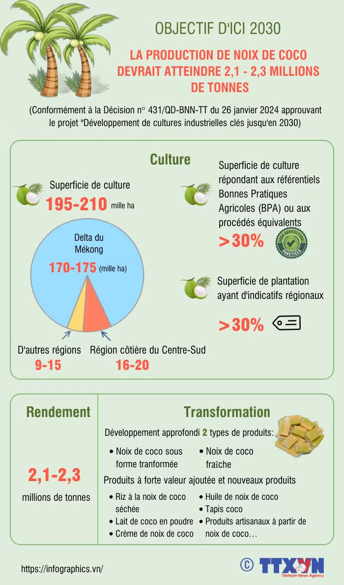 La production de noix de coco devrait atteindre 2,1 à 2,3 millions de tonnes d'ici 2030 ảnh 1