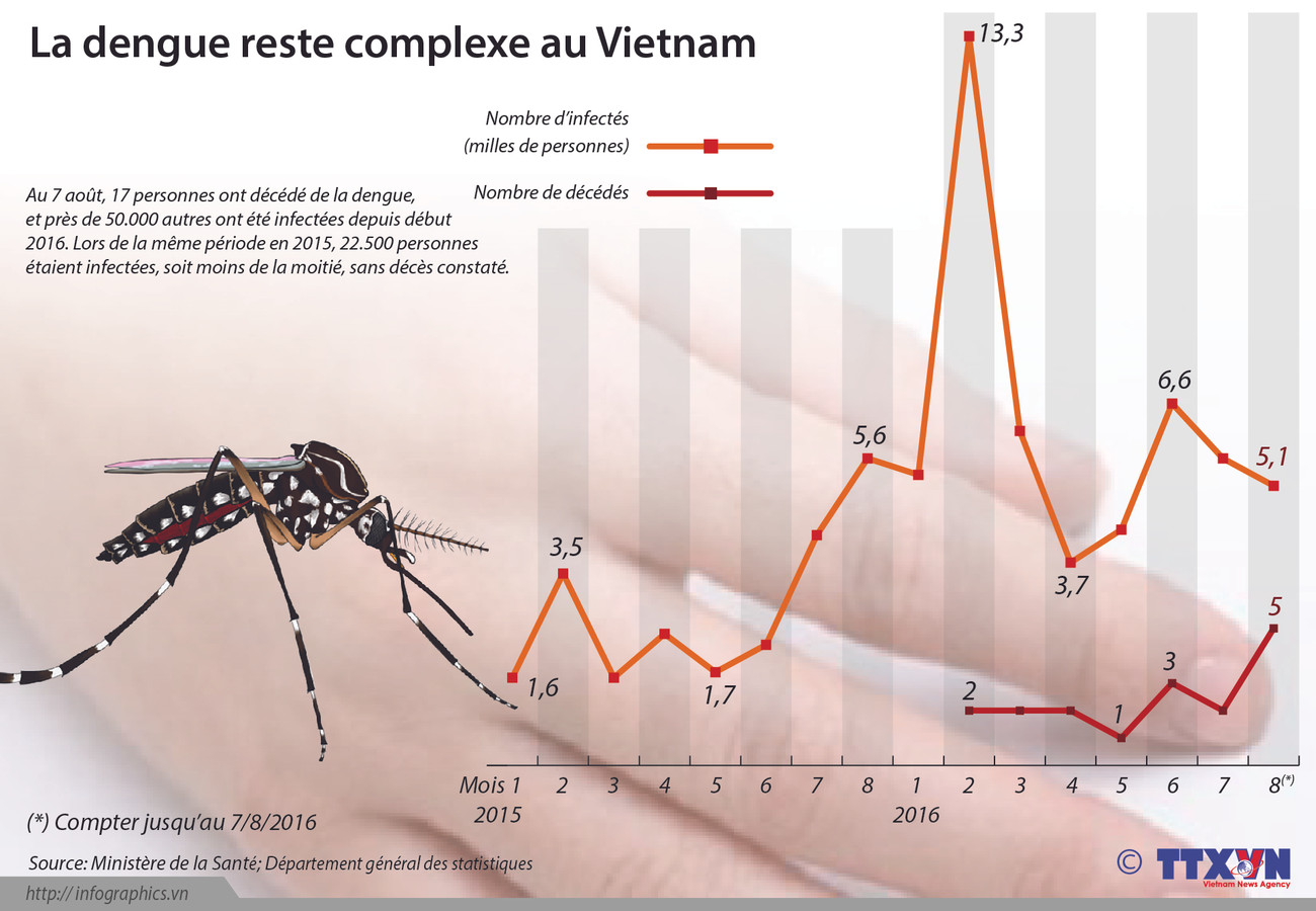 La dengue reste complexe au Vietnam ảnh 1 La dengue reste complexe au Vietnam ảnh 1