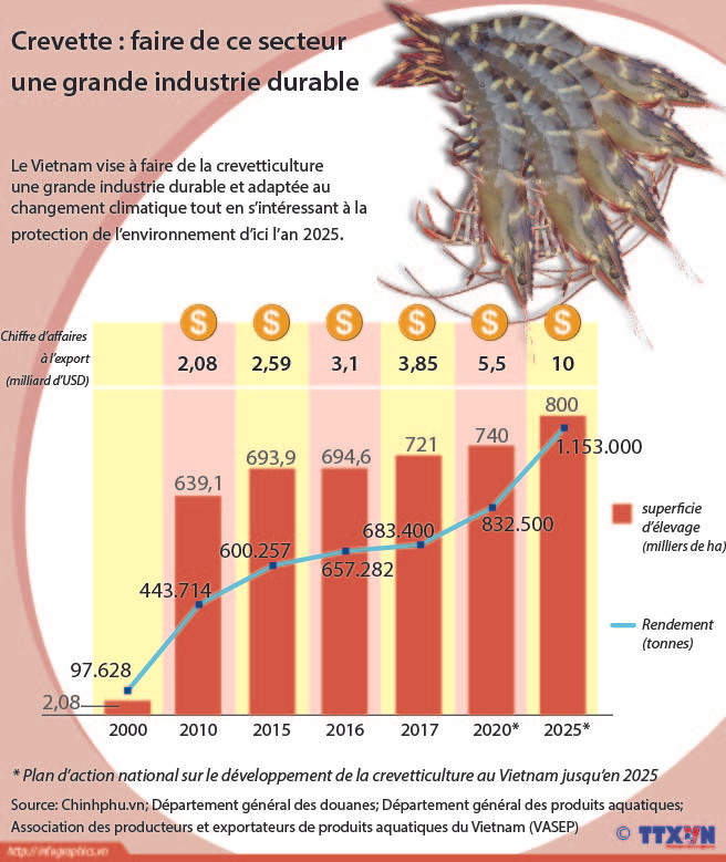 Crevette : faire de ce secteur une grande industrie durable ảnh 1 Crevette : faire de ce secteur une grande industrie durable ảnh 1