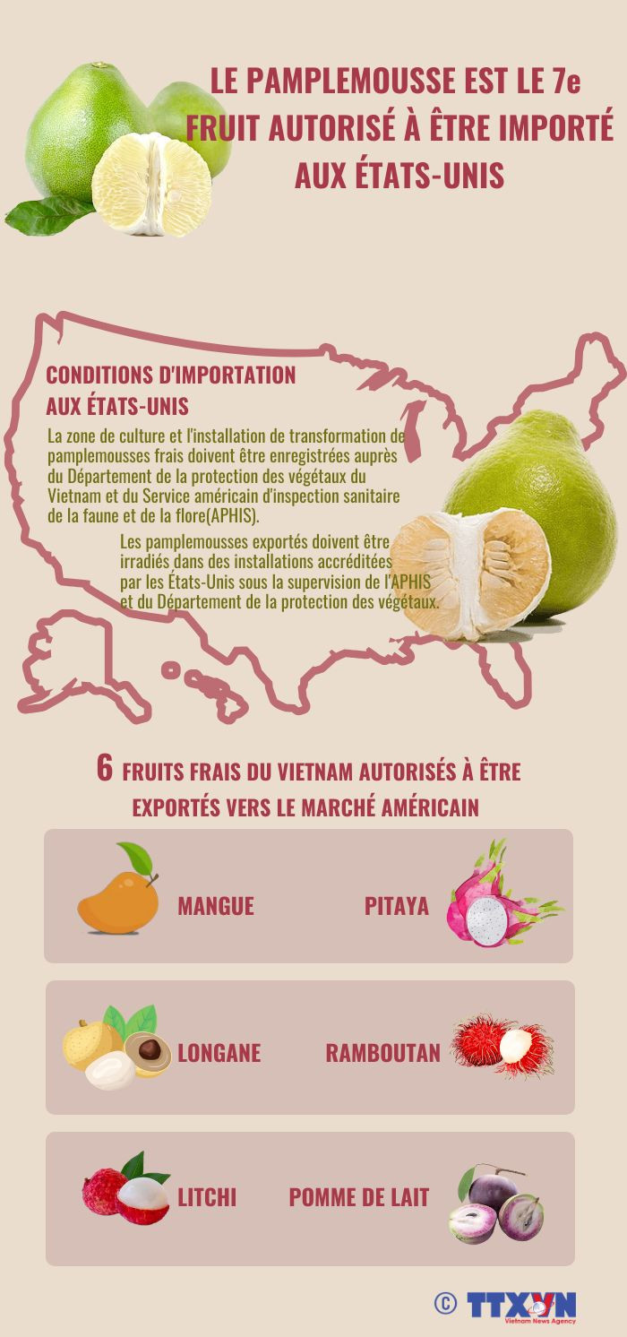 Le pamplemousse est le 7e fruit vietnamien autorisé à être importé aux États-Unis ảnh 1
