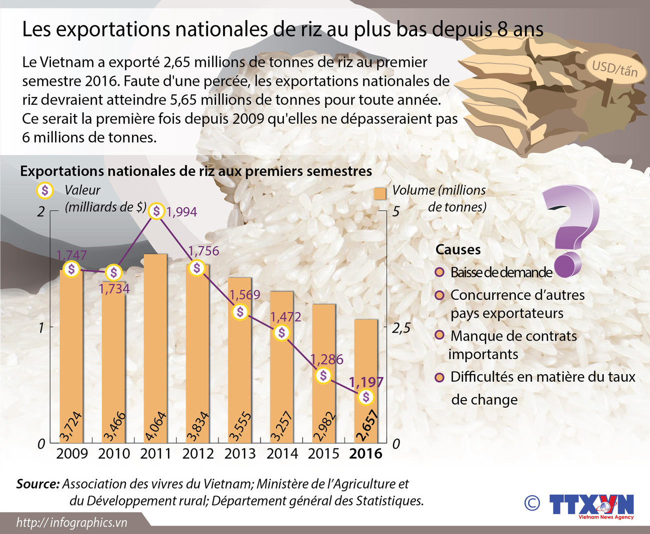 Les exportations nationales de riz au plus bas depuis 8 ans ảnh 1