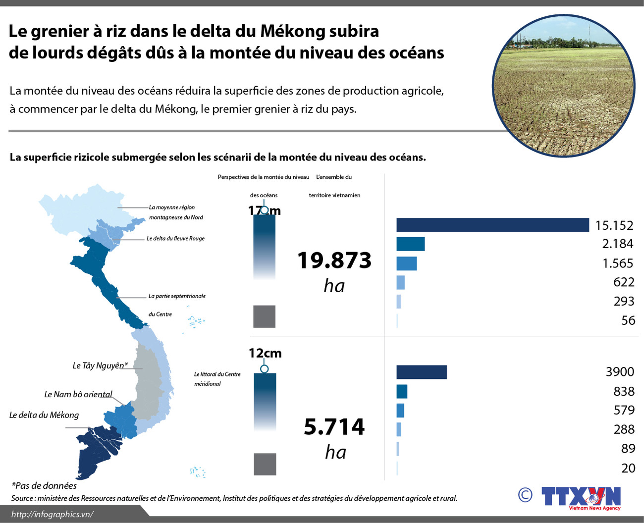 Grenier à riz dans le delta du Mékong subira de lourds dégâts ảnh 1