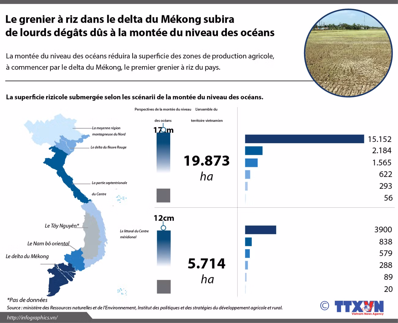 Grenier à riz dans le delta du Mékong subira de lourds dégâts ảnh 1