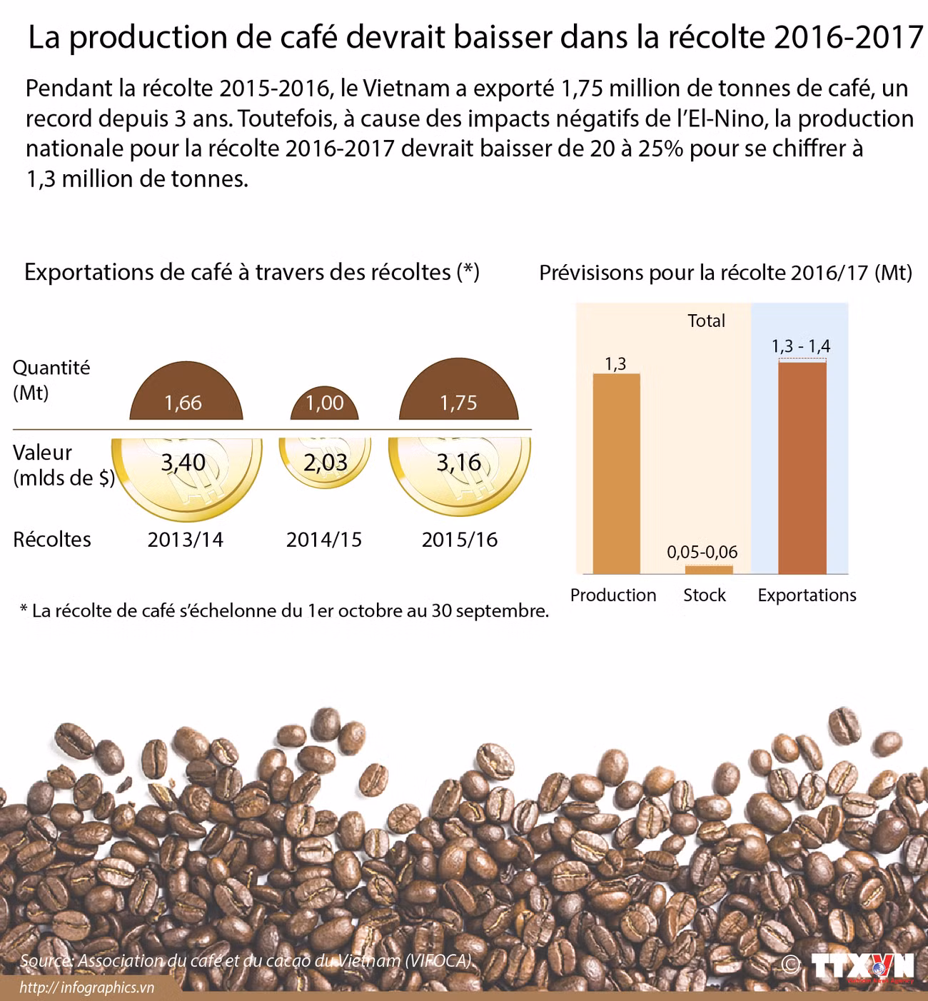 La production de café devrait baisser dans la récolte 2016-2017 ảnh 1