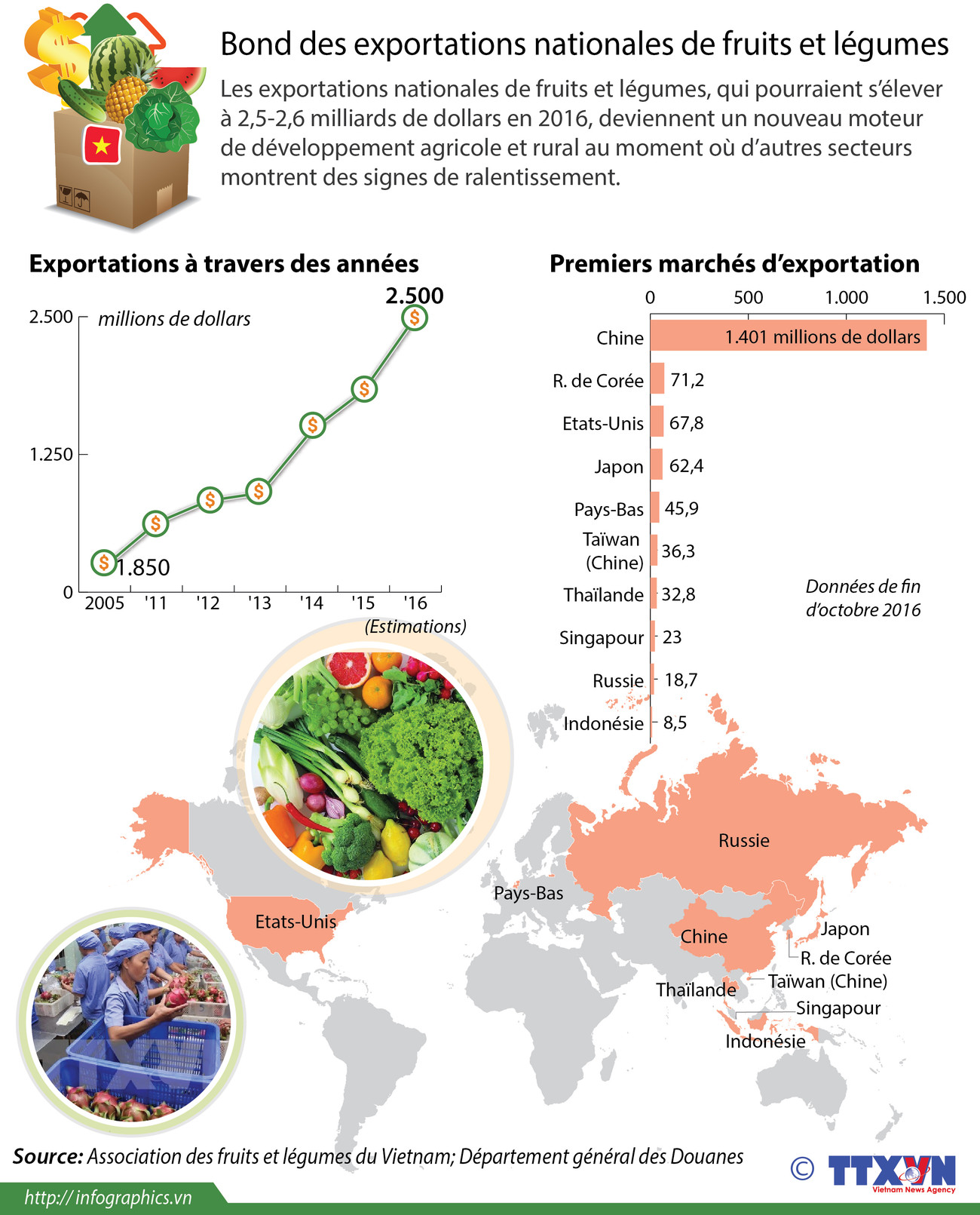Bond des exportations nationales de fruits et légumes ảnh 1
