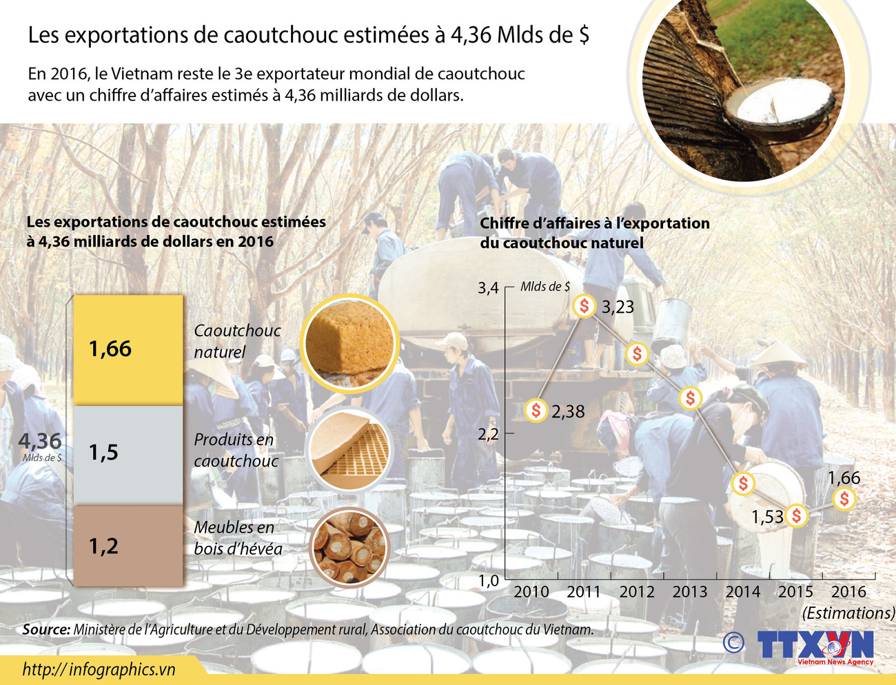 Les exportations de caoutchouc estimées à 4,36 Mlds de $ ảnh 1