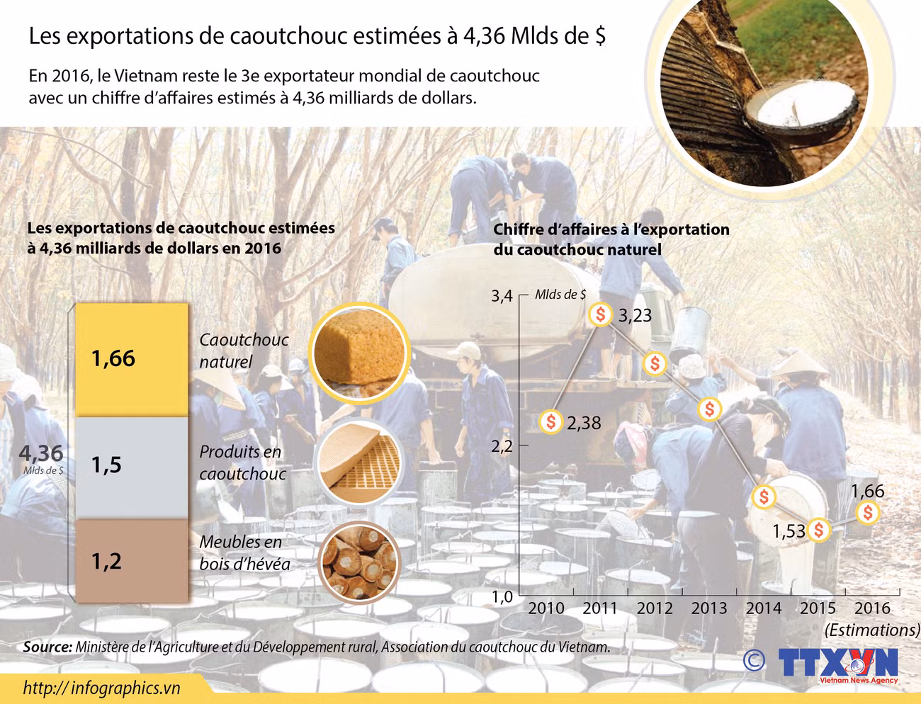 Les exportations de caoutchouc estimées à 4,36 Mlds de $ ảnh 1