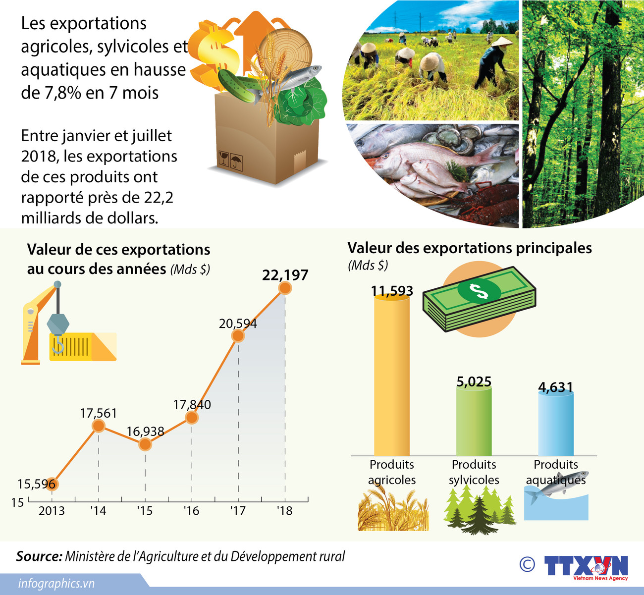 [Infographie] Les exportations agricoles, sylvicoles et aquatiques en 7 mois ảnh 1