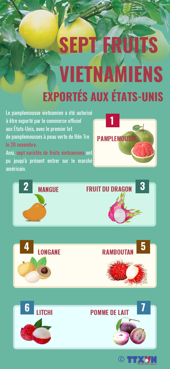 Sept fruits vietnamiens officiellement autorisés à exporter vers les États-Unis ảnh 1 Sept fruits vietnamiens officiellement autorisés à exporter vers les États-Unis ảnh 1