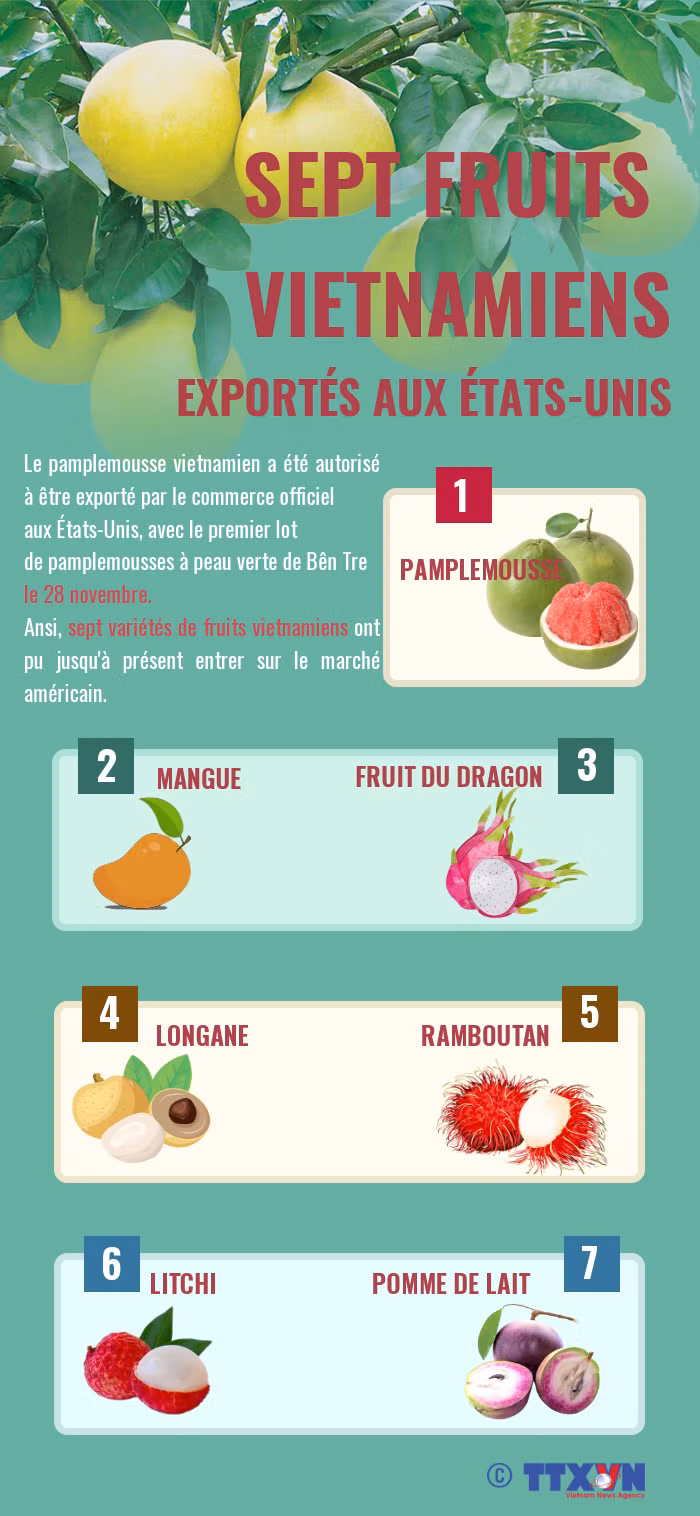 Sept fruits vietnamiens officiellement autorisés à exporter vers les États-Unis ảnh 1