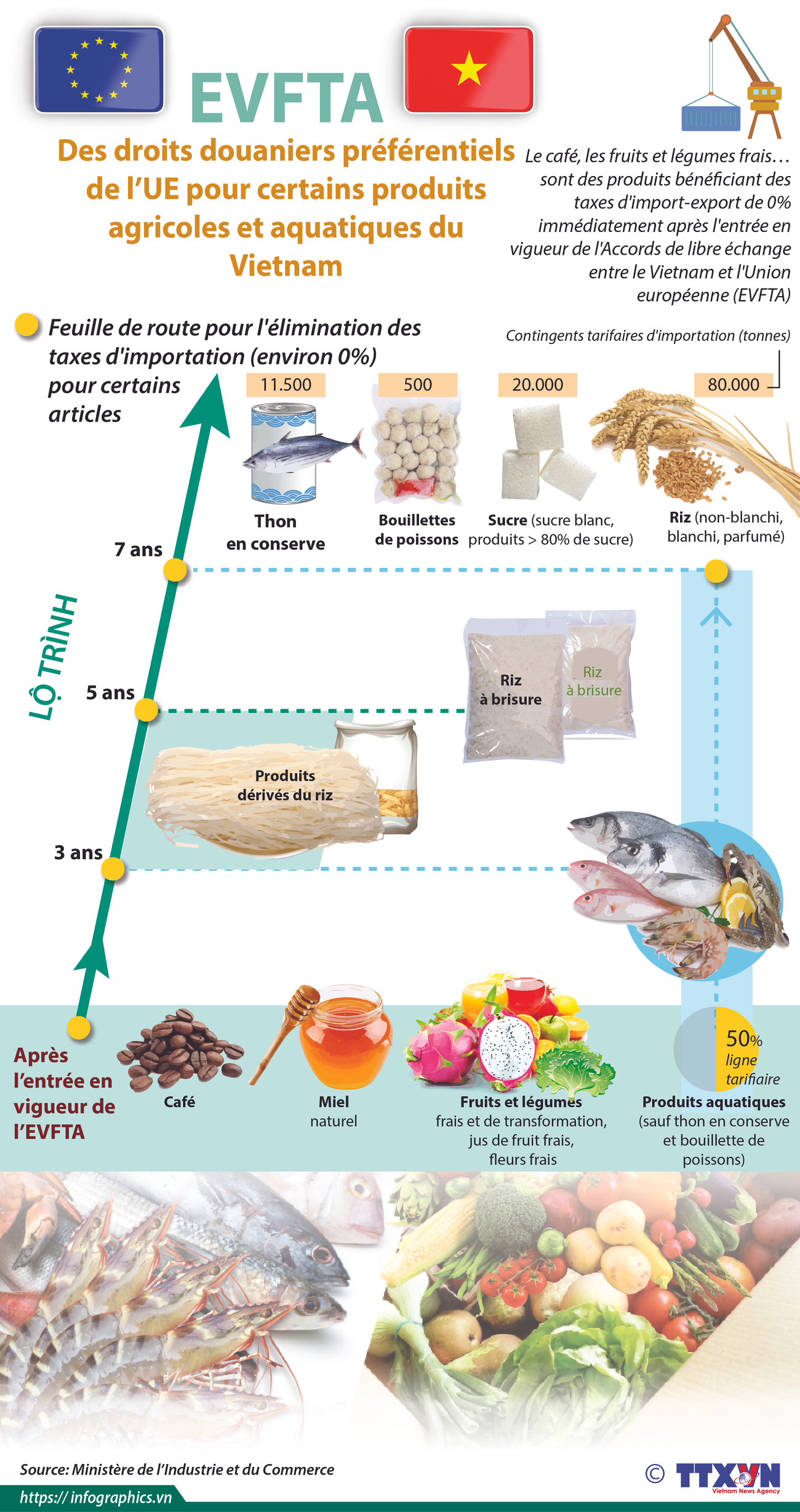 EVFTA: Des droits douaniers préférentiels de l’UE pour produits agricoles et aquatiques du Vietnam ảnh 1