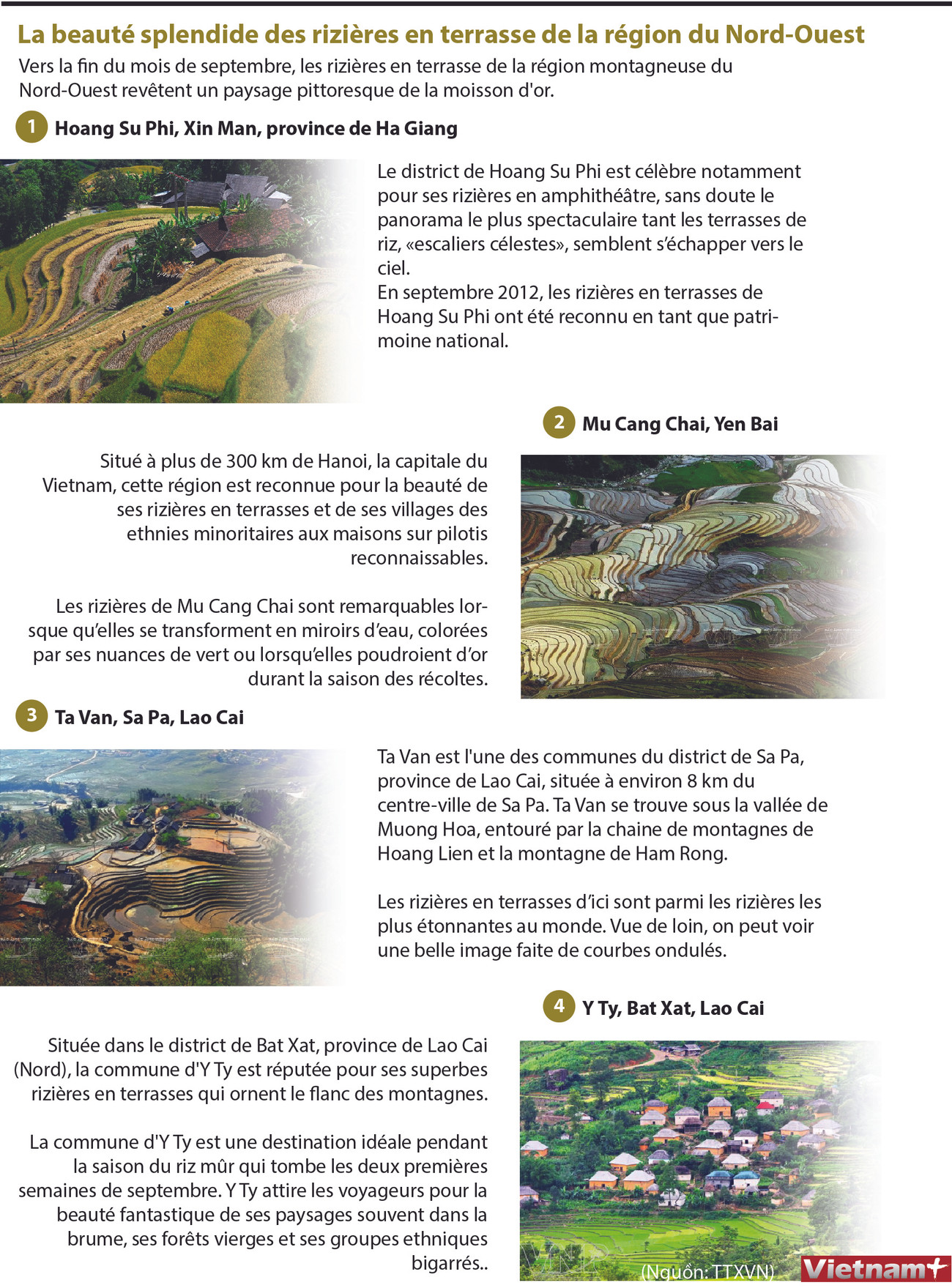 La beauté splendide des rizières en terrasse de la région du Nord-Ouest ảnh 1