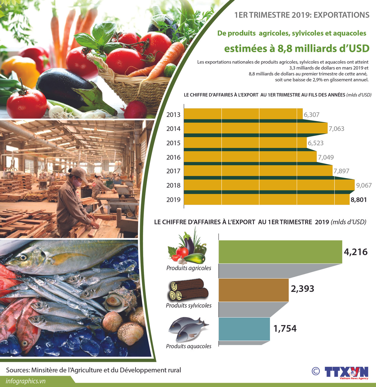 Exportations de produits agricoles, sylvicoles et aquatiques en baisse de 2,9% au premier trimestre ảnh 1